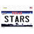 Stars Texas State Novelty Sticker Decal
