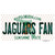 Jaguars Fan Florida Novelty Sticker Decal