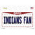 Indians Fan Ohio Novelty Sticker Decal
