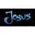 Jesus Novelty Sticker Decal