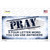 Pray Novelty Sticker Decal