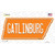 Gatlinburg Novelty Tennessee Shape Sticker Decal