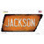 Jackson Novelty Rusty Tennessee Shape Sticker Decal