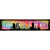 Winnipeg Manitoba Slurpee Capital of the World Novelty Narrow Sticker Decal