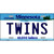 Twins Minnesota State Novelty Metal License Plate