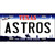 Astros Texas State Novelty Metal License Plate