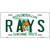 Rays Florida State Metal Novelty License Plate