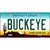 Buckeye Arizona Metal Novelty License Plate
