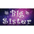 Big Sister Novelty Sticker Decal