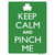 Keep Calm And Pinch Me Novelty Rectangle Sticker Decal