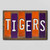 Tigers SC Team Colors College Fun Strips Novelty Wood Sign WS-940