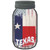 Texas | USA Flag Novelty Mason Jar Sticker Decal