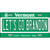 Lets Go Brandon VT Novelty Metal License Plate