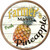 Farmers Market Pineapple Novelty Circle Coaster Set of 4