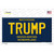 Trump Michigan Blue Novelty Rectangular Sticker Decal