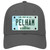 Pelham New Hampshire State Novelty License Plate Hat