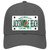 Florida Jacksonville Beach Novelty License Plate Hat