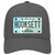 Hooksett New Hampshire Novelty License Plate Hat