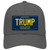 Trump Michigan Blue Novelty License Plate Hat