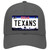 Texans Texas State Novelty License Plate Hat