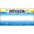 Nevada Novelty State Blank Metal License Plate