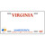 Virginia Novelty State Blank Metal License Plate