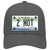 2 Hot Michigan Novelty License Plate Hat