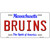 Bruins Massachusetts State Novelty Metal License Plate