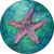 Starfish Aqua Novelty Metal Circle Sign