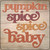 Pumpkin Spice Baby Novelty Metal Square Sign