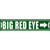 Big Red Eye Novelty Metal Street Sign