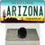 Arizona Wholesale Novelty Metal Hat Pin