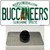 Buccaneers Florida State Wholesale Novelty Metal Hat Pin