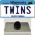 Twins Minnesota State Wholesale Novelty Metal Hat Pin