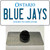 Blue Jays Toronto Canada Province Wholesale Novelty Metal Hat Pin
