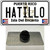 Hatillo Puerto Rico Wholesale Novelty Metal Hat Pin