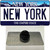 New York State Wholesale Novelty Metal Hat Pin