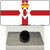 Northern Ireland Flag Wholesale Novelty Metal Hat Pin