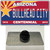 Arizona Centennial Bullhead City Wholesale Novelty Metal Hat Pin