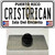 Cristorican Puerto Rico Wholesale Novelty Metal Hat Pin