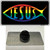 Jesus Fish Rainbow Wholesale Novelty Metal Hat Pin