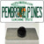 Pembroke Pines Florida Wholesale Novelty Metal Hat Pin