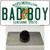 Bad Boy Florida Wholesale Novelty Metal Hat Pin