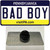 Bad Boy Pennsylvania State Wholesale Novelty Metal Hat Pin