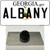 Albany Georgia Wholesale Novelty Metal Hat Pin