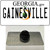 Gainesville Georgia Wholesale Novelty Metal Hat Pin