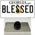 Blessed Georgia Wholesale Novelty Metal Hat Pin