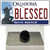 Blessed Oklahoma Wholesale Novelty Metal Hat Pin
