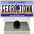 Georgetown South Carolina Wholesale Novelty Metal Hat Pin