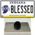 Blessed Indiana Wholesale Novelty Metal Hat Pin